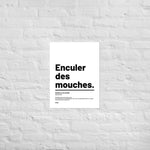 Affiche citation - Enculer des mouches