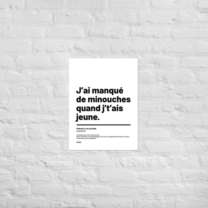 Affiche Citation - Minouches